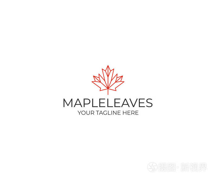 线枫叶徽标模板.几何秋叶矢量设计.植物插图