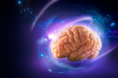 人类思想人类的大脑,思想概念照片