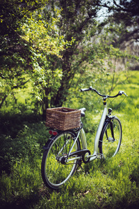 自行车用柳条编织的篮子