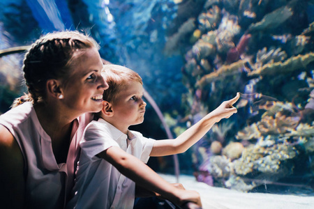 着迷的母亲和儿子看水族馆海洋生物