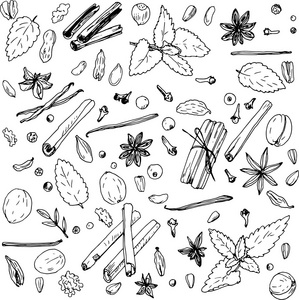 香料模式三标签与叙利亚牛至, 漆树和肉豆蔻草图手绘业务草图海洋植物