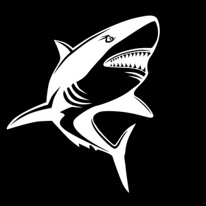 鱼徽黑鲨徽照片