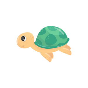 可爱的海洋爬行动物.绿色贝壳水下生物的卡通特征.侧面视图.