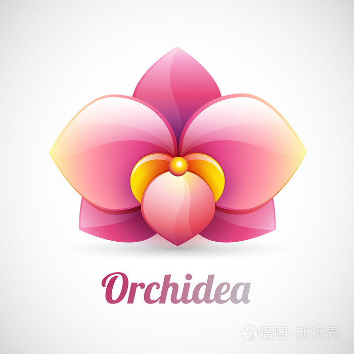 一个孤立的花徽标-粉红色的兰花花形状-矢量图标