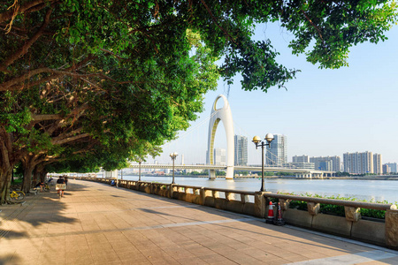 珠江景观图片大全