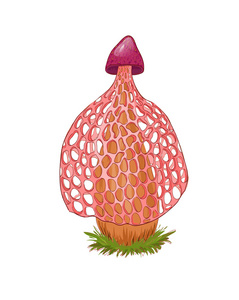 真菌比萨饼图片-真菌比萨饼素材-真菌比萨饼插画-摄图新视界