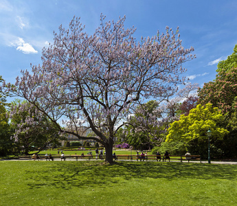 城市公园 德国 Stadtpark 在维也纳，奥地利