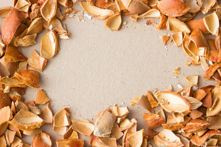 果壳图片-果壳素材-果壳插画-摄图新视界