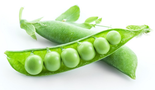 打开豌豆图片 打开豌豆素材 打开豌豆插画 摄图新视界