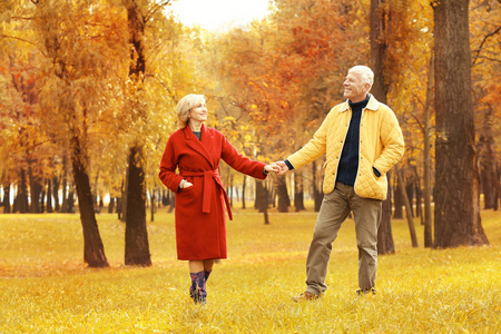 老年夫妻在公园里散步图片