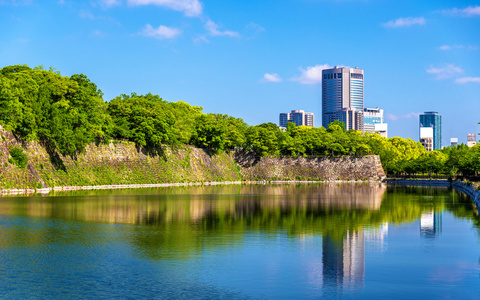 在日本大阪城堡的护城河