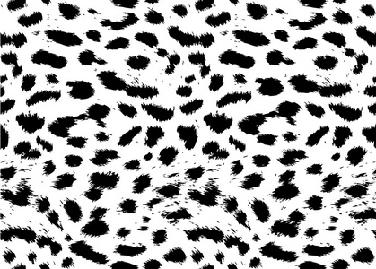 豹,猎豹皮肤无缝模式照片