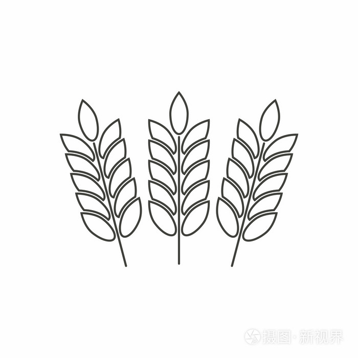 大麦图标插画-正版商用图片0f2xb5-摄图新视界