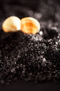 贝壳背景下的夏威夷黑熔岩海盐堆