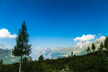 在一个夏日的山峰