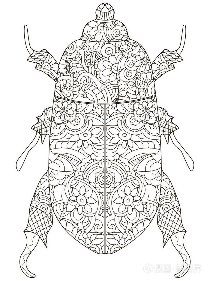 矢量对象埃及甲虫.白色背景上的黑色线条