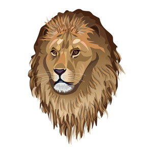 一只狮子的肖像