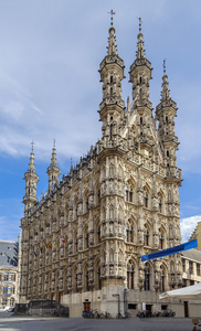 比利时鲁汶市政厅图片