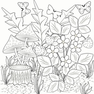 草莓的图片着色装饰花草莓和蘑菇图片黑色和白色照片