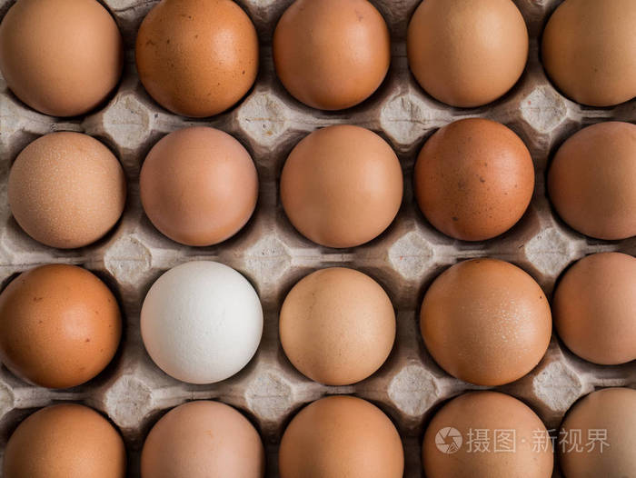 一个白色的鸡蛋在托盘中的棕色