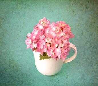 白色的花瓶里的甜蜜绣球花