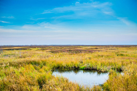 北极的沼泽亚马尔半岛照片