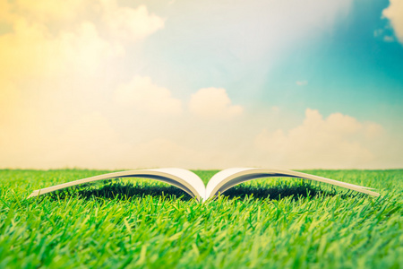 空白目录，杂志，书模拟在绿色草地上