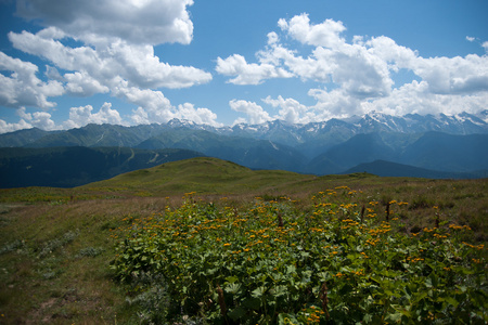 在山中徒步旅行