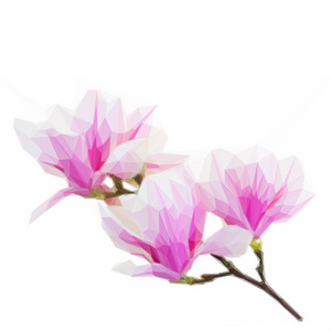 低聚姹紫嫣红粉色玉兰花