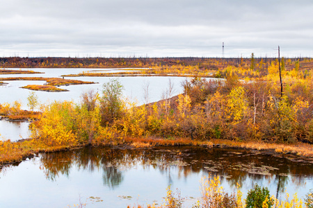 在苔原在泰梅尔半岛湖照片