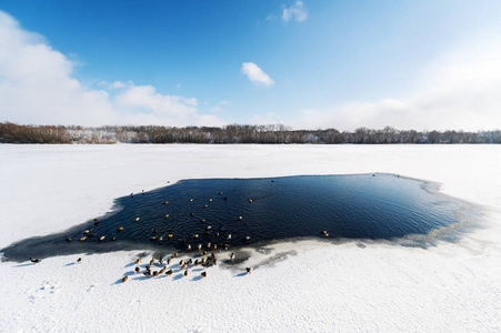 冬季冰雪覆盖的田野树木和河流的冬季景观