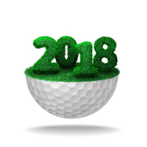 2018年草地上的数字高尔夫球