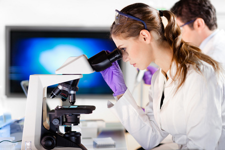 生命科学家在实验室里研究照片