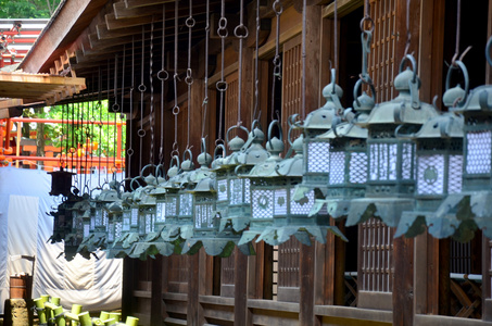 春日神社的灯笼