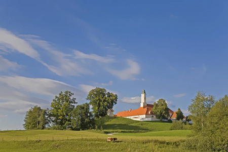 修道院 Reutberg 与母牛