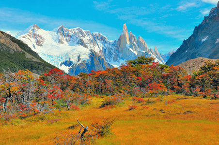 cerro torre 山