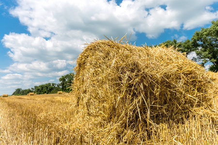 Hayroll 对作物田