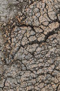 烧焦的贫瘠荒凉裂的土壤表面干燥