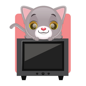 猫坐在电视上
