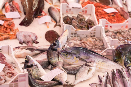在巴勒莫, 西西里, 意大利的市场上五颜六色的鱼选择