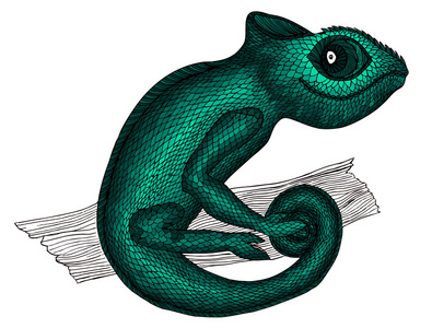 Chameleon.Profile 蜥蜴。手绘