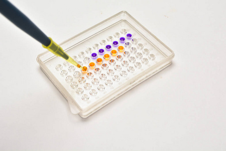 在生物医学实验室图片