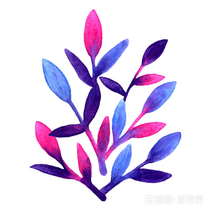 粉红色, 蓝色和紫色的春天叶子手绘与水彩自然画叶子在孤立的白色背景