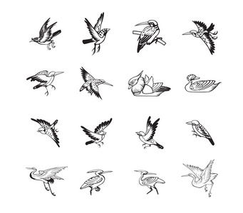 鸟和鸭中式矢量图片