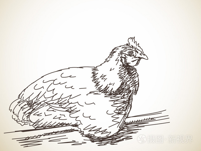 手画的母鸡