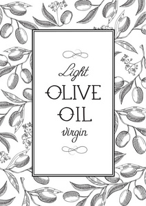 抽象轻质橄榄油海报图片
