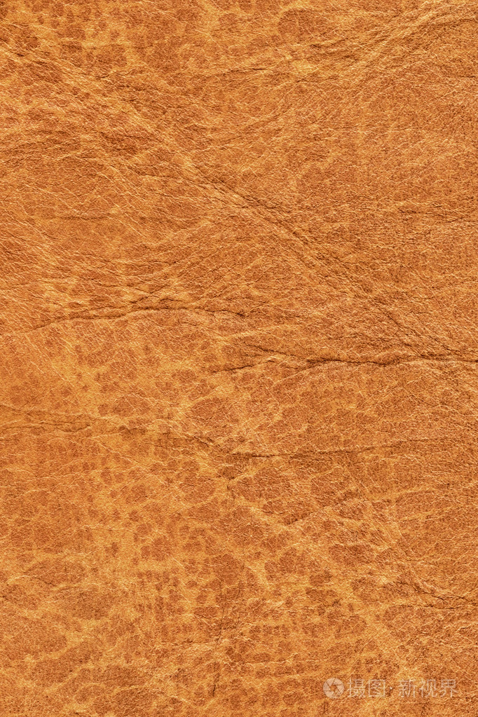 老牛皮皱皱巴巴的 grunge 纹理样本细节