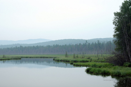 湖上有雾的早晨。夏天清晨。蒙蒙细雨。湖上的森林。定了调子的照片