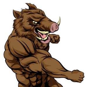 野猪体育吉祥物战斗照片