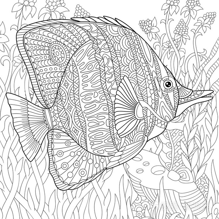 程式化的 zentangle 蝴蝶鱼插画-正版商用图片0f62e7-摄图新视界